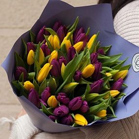 Букет из 51 желтого и фиолетового тюльпана в сиреневой пленке