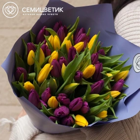 Букет из 51 желтого и фиолетового тюльпана в сиреневой пленке
