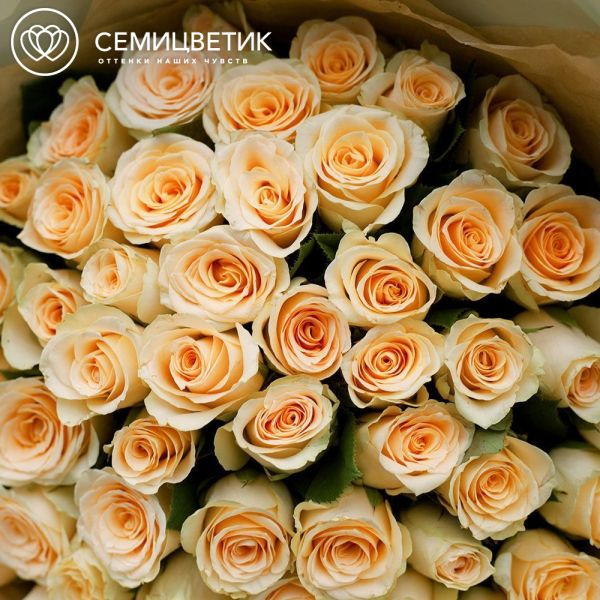 Букет из 51 кремовой розы 40 см (Кения)