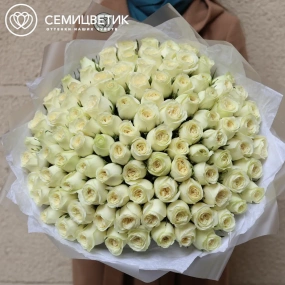 Букет из 101 белой пионовидной розы Titanium (Кения) 35-40 см в прозрачной упаковке 