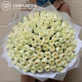 Букет из 101 белой пионовидной розы Titanium (Кения) 40 см в прозрачной упаковке 