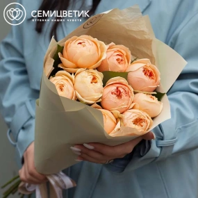 Букет из 9 кремовых пионовидных роз 60 см (Россия) в кремовой пленке