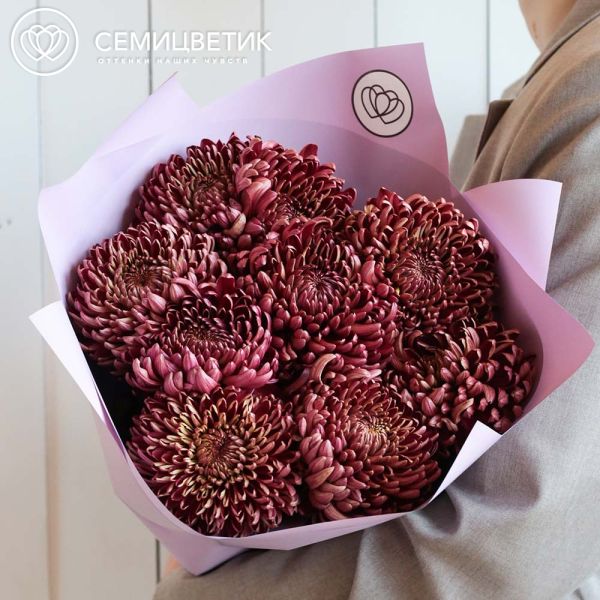 Букет из 9 одноголовых бордовых хризантем