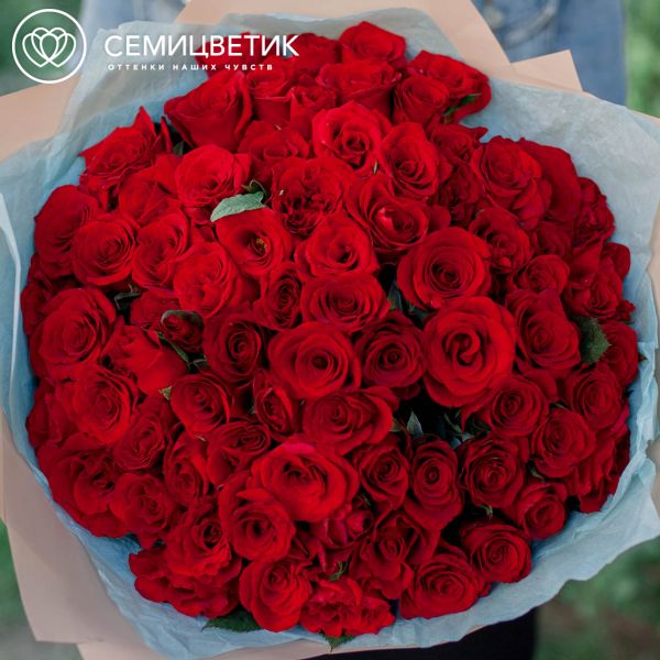 Букет из 75 красных с темной каймой роз Магия 35-40 см (Россия)