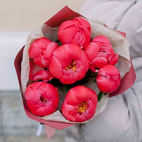Букет из 7 коралловых пионов Coral Sunset Premium
