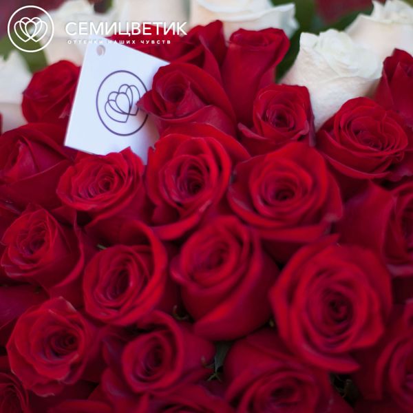 Букет сердце из 75 красных и белых роз в натуральной упаковке