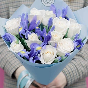 Букет из 10 белых роз Vendela 50 см (Эквадор) и 15 синих ирисов в голубой пленке
