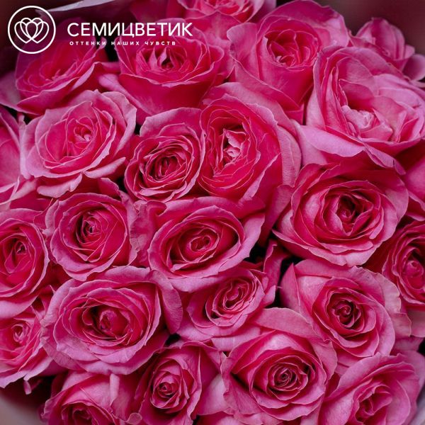 Букет из 25 розовой розы 60 см (Россия)