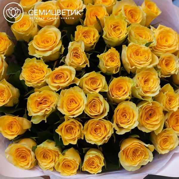 Букет из 45 желтых роз 35-40 см (Россия)