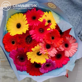 Букет из 15 гербер микс в голубой пленке