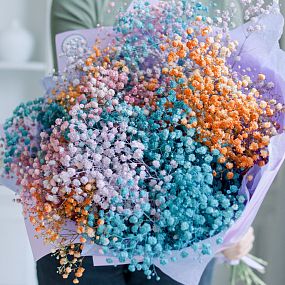 Букет из 15 гипсофил микс