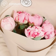 Букет из 5 розовых пионов Premium в кремовой пленке