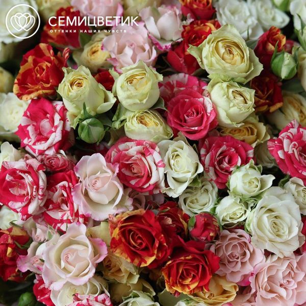 Букет из 25 кустовых роз 40 см микс (Кения)