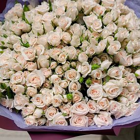 Букет из 51 кремовой кустовой розы 40 см (Кения) в розовой пленке