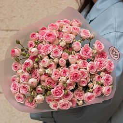 Букет из 15 кустовых пионовидных розовых роз 60 см (Россия)