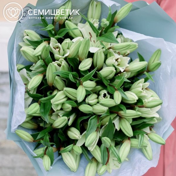 Букет из 15 белых лилий азиатка в голубой пленке