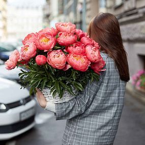 Композиция из 25 коралловых пионов Coral Sunset Premium в корзине
