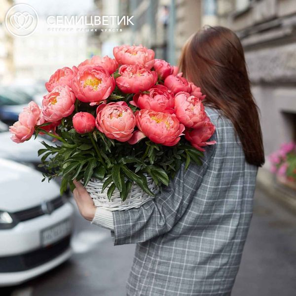 Композиция из 25 коралловых пионов Coral Sunset Premium в корзине