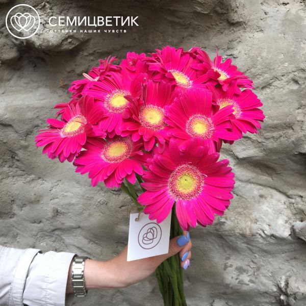 Букет из 15 гербер мини