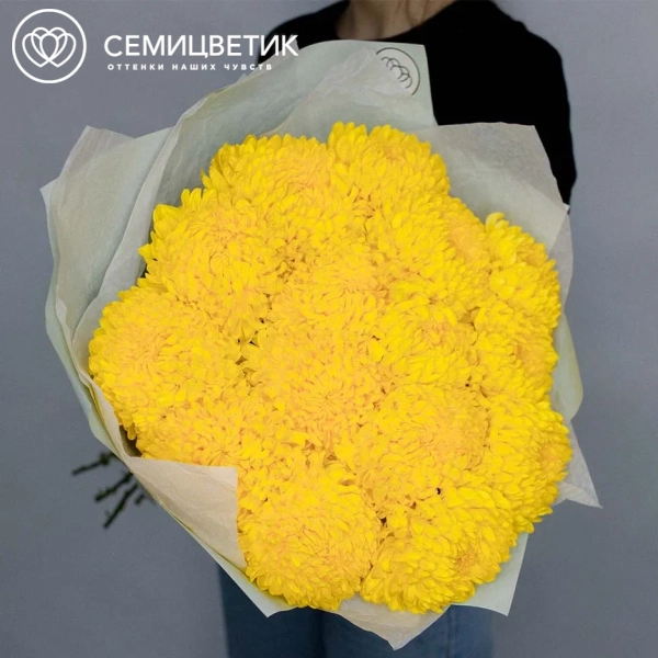 Букет из 15 одноголовых желтых хризантем
