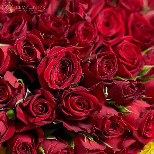Красные розы 40 см (Кения) Standart