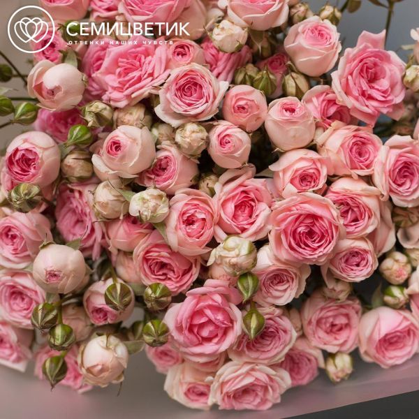 Букет из 15 кустовых пионовидных розовых роз 60 см (Россия)