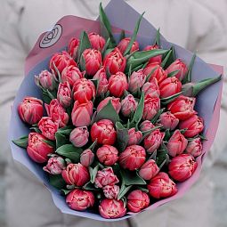 Букет из 51 розового пионовидного тюльпана в сиреневой пленке