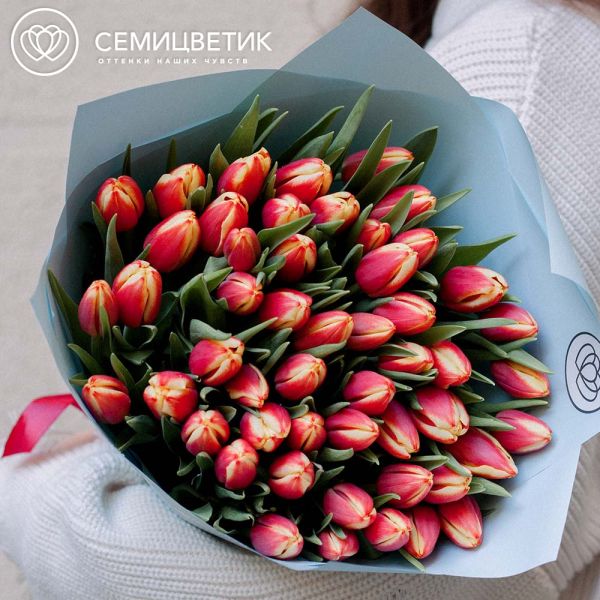 Букет из 51 желто-красный тюльпан 40 см в голубой пленке