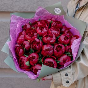 Букет из 25 бордовых пионов Premium