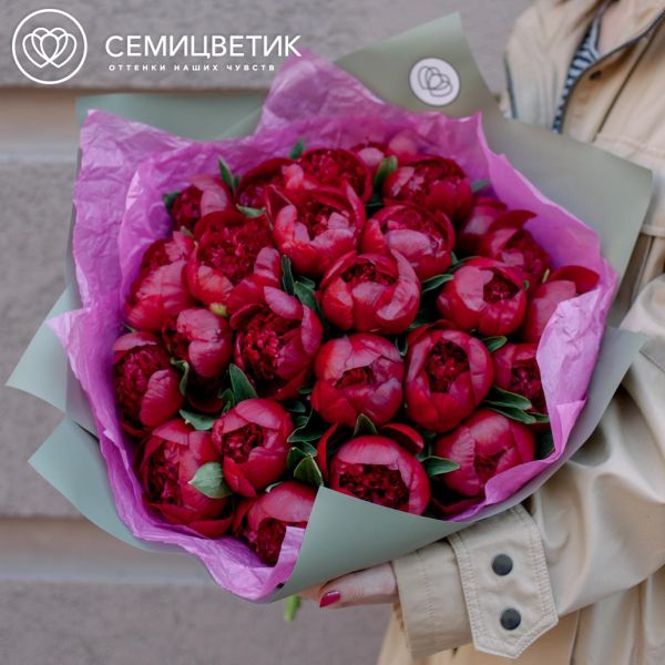 Букет из 25 бордовых пионов Premium
