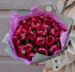 Букет из 25 бордовых пионов Premium