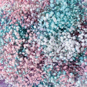 Букет из 25 гипсофил микс в розовой пленке