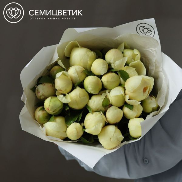 Букет из 25 лимонных пионов Lemon Chiffon Premium