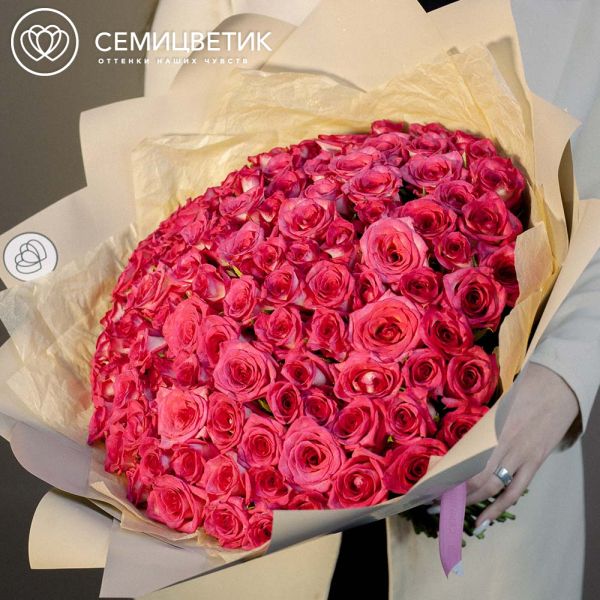 Букет из 101 малиновой розы биколор 35 см (Кения) 