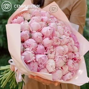 Букет из 51 розового пиона Premium в розовой пленке