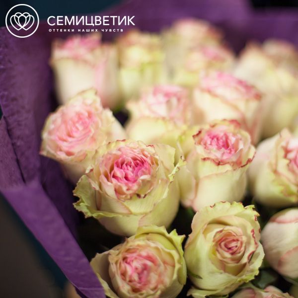 Букет из 25 розово-фисташковых роз Esperance 50 см (Эквадор)