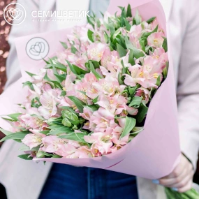 Букет из 23 альстромерий в розовых тонах в розовой пленке
