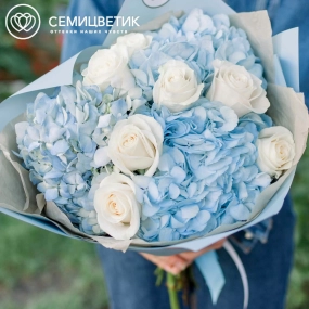 Букет из 3 голубых гортензий и 7 белых роз Vendela 50 см в голубой пленке