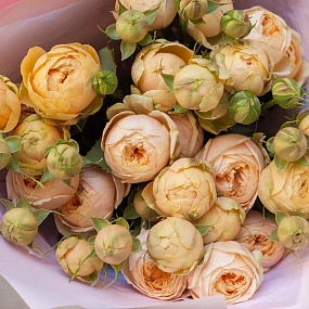 Букет из 9 кремовых кустовых пионовидных роз 70 см (Россия)