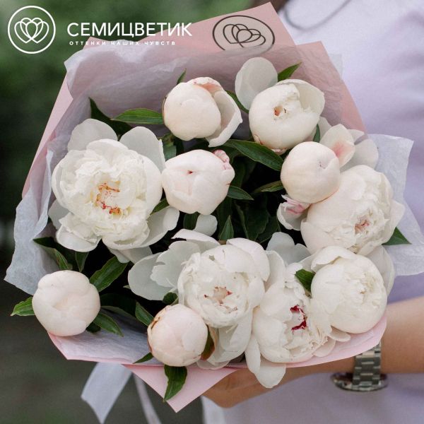 Букет из 11 нежно-розовых пионов Standart