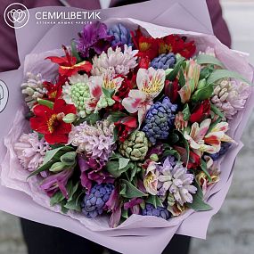 Букет из 15 гиацинтов микс и 10 альстромерии микс