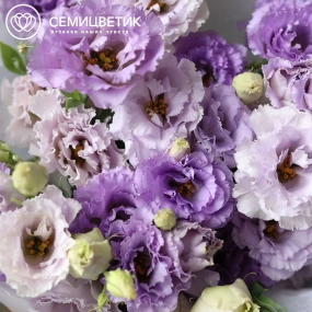Букет из 9 сиреневых махровых лизиантусов в прозрачной упаковке
