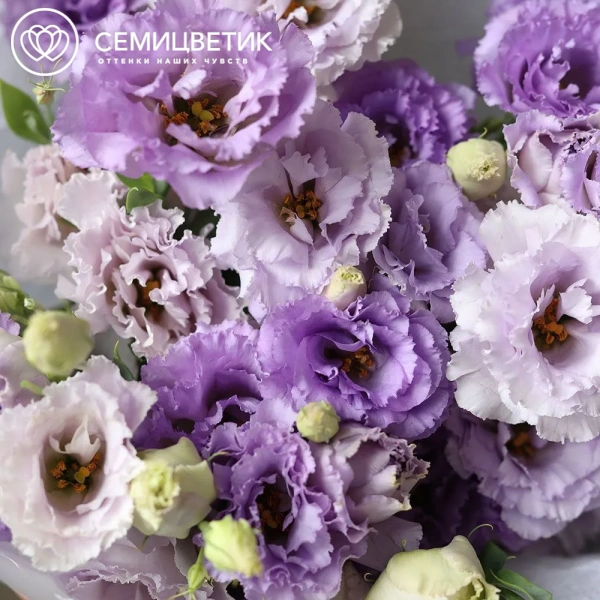 Букет из 9 сиреневых махровых лизиантусов в прозрачной упаковке