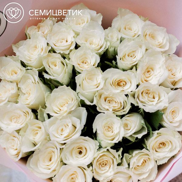 Букет из 35 белых роз 40 см (Кения) в розовой пленке