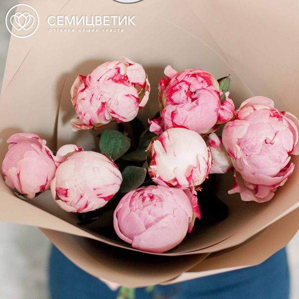 Букет из 7 розовых пионов Premium в кремовой пленке