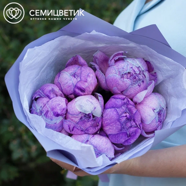 Букет из 7 фиолетовых пионов Premium