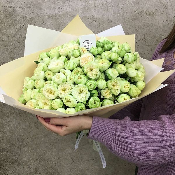 Букет из 51 бело-фисташковой кустовой пионовидной розы Blanchette 40 см