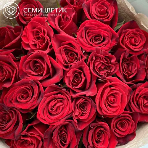 Букет из 25 красных с темной каймой роз (Россия) 80 см