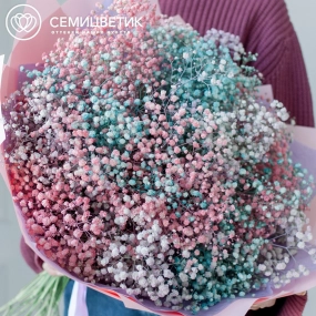 Букет из 25 гипсофил микс в розовой пленке