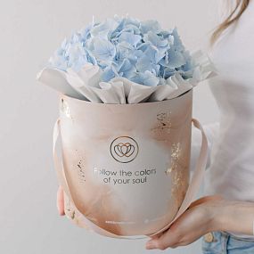 Букет в бежевой шляпной коробке Amour Mini из 3 голубых гортензий